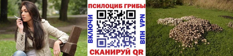 Псилоцибиновые грибы прущие грибы  Купить закладки  Островной 